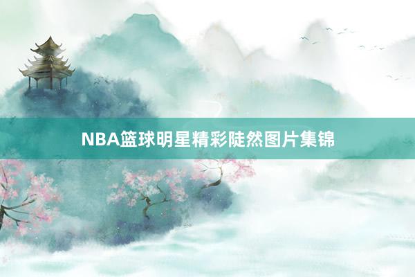 NBA篮球明星精彩陡然图片集锦